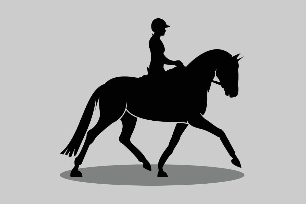 advanced horse riding lessons with hands-on classes teaching essential expert horse care. mentoring & Instructing to help riders reach their goals through training and coaching in black silhouette.
