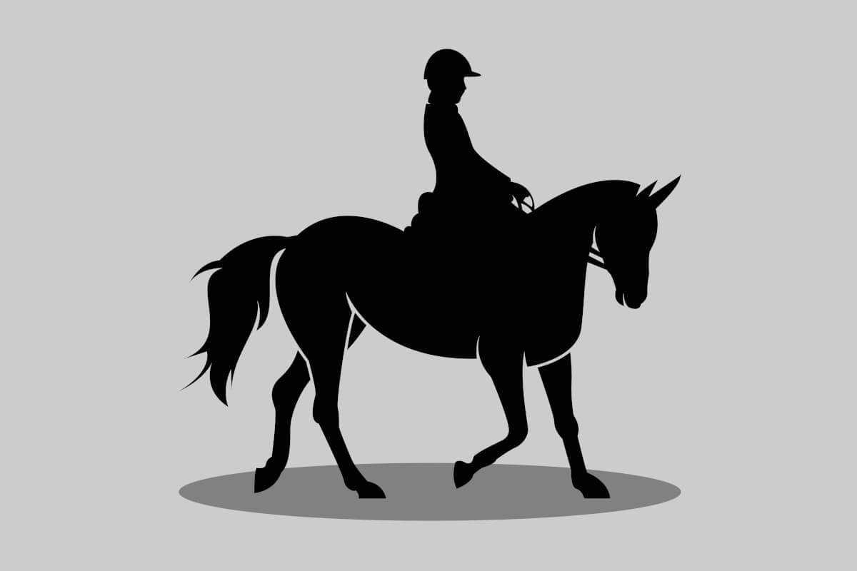 beginner horse riding lessons in black silhouette. hands-on classes teaching essential expert horse care. confident riding coaching, help with developing your own or your horse's confidence. sympathetic coaching to encourage calm, consistent training that develops a willing, relaxed horse and a confident, balanced rider.