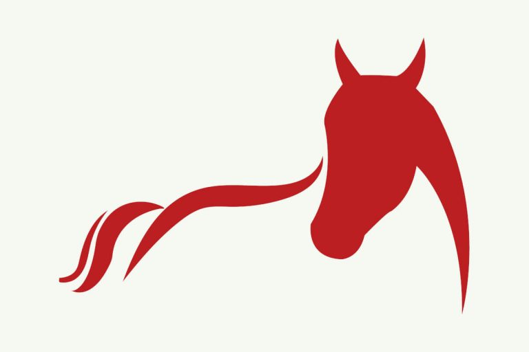 contact kat williams-jones equestrian coach Worcestershire red horse outline drawing