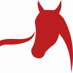 logo for kat williams-jones equestrian coach and instructor