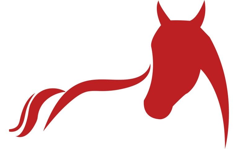 default image kat williams-jones equestrian coach and horse riding instructor 1920 x 1200