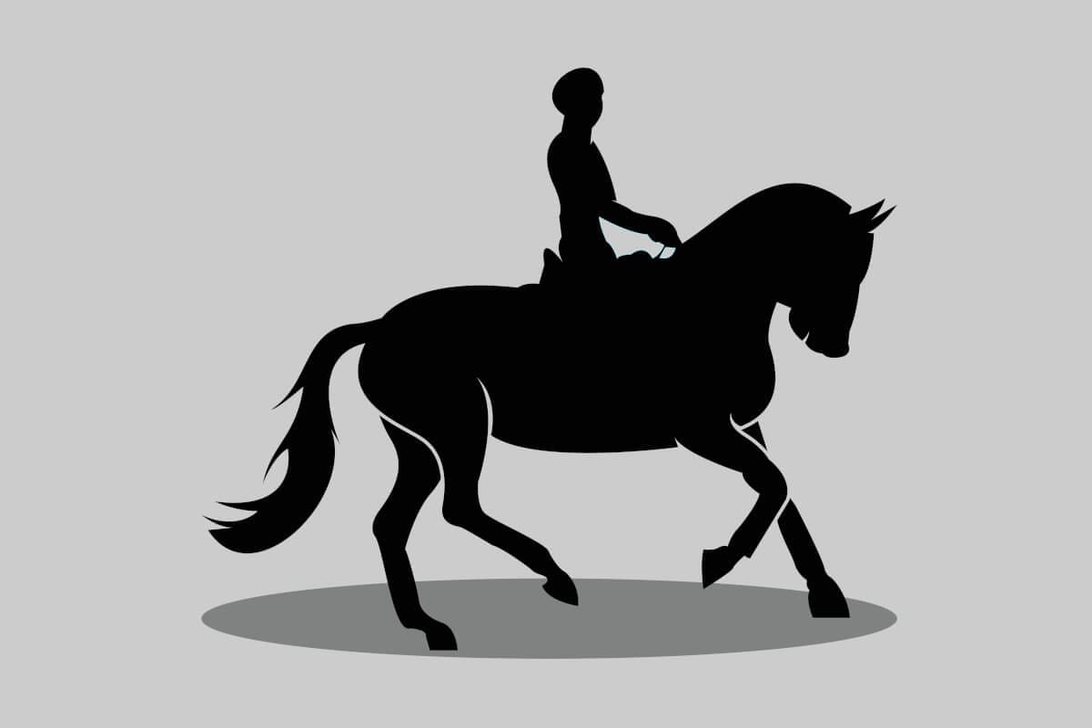 dressage training sessions. master the fundamentals or refine your technique with expert. understand what the judges are looking for in your tests and how to gain those extra marks. in black silhouette.