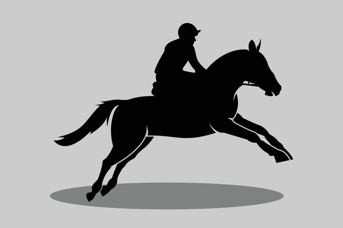 retraining of racehorses (ror). developing and retraining ex-racehorses is my passion for their new careers in black silhouette