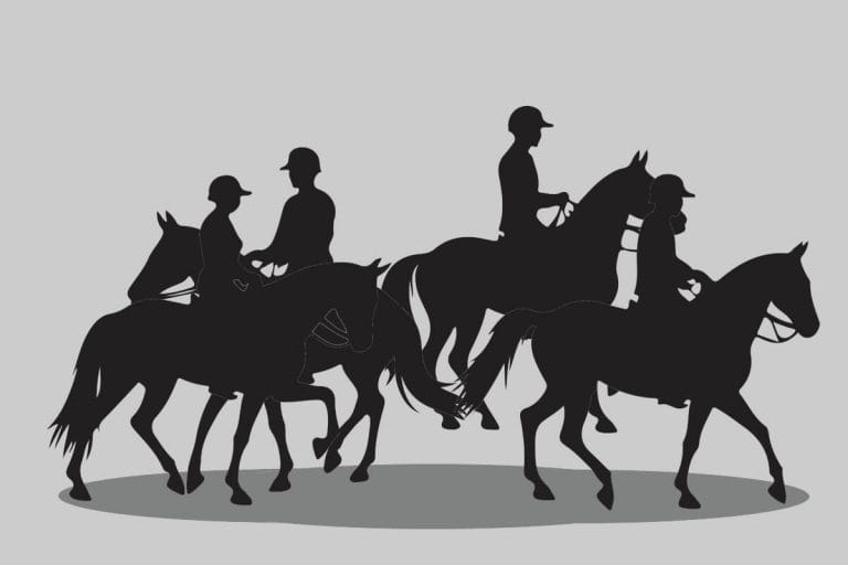 group riding lessons. specialise in both individual 1-to-1 and group training sessions in dressage, showjumping and cross country -in black silhouette.