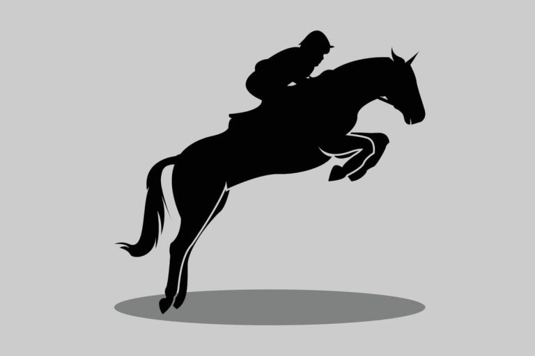 showjumping lessons to master the fundamentals or refine your technique with expert. showjumping coaching improvement through sympathetic and encouraging development of you and your horse over jumps. black silhouette of horse and rider showjumping