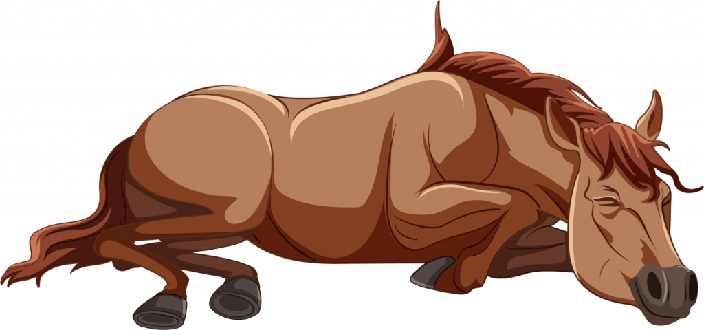 resting chestnut thoroughbred retraining of racehorses (ror) cartoon with kat williams-jones equestrian coach.